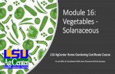 Module 16: Vegetables - Solanaceous - LSU AgCenter