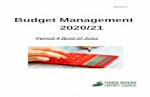 Budget Management 2020/21 - Three Rivers