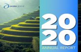 annual report - Aceso Global