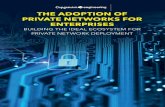 THE ADOPTION OF PRIVATE NETWORKS FOR ENTERPRISES …