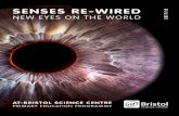 SENSES RE-WIRED