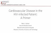 Cardiovascular Disease in the HIV-infected Patient: A Primer