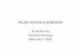 Dr LM Murray Chemical Pathology Block SA13 -2014