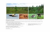Rapid Ecological Assessment for Central Wisconsin Wildlife ...