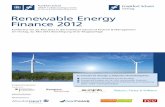 Renewable Energy Finance 2012 - Frankfurt School Verlag