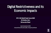 Digital Restrictiveness and its Economic Impacts