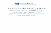 ANNUAL COMPREHENSIVE EMPLOYMENT REPORT