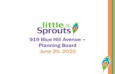 919 Blue Hill Avenue – Planning Board June 25, 2020