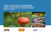 THE GAMBIA CASHEW SECTOR DEVELOPMENT AND EXPORT …