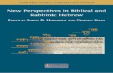 Biblical Hebrew and Cognitive Linguistics
