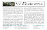 Woodsette - The Woods - Nabr Network