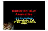 Mullerian Duct Anomalies - edurad.com