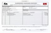 BTG20Individual Expense Summary Form Example 1PDF
