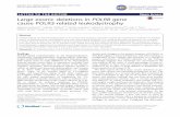 Large exonic deletions in POLRB gene cause POLR3-related ...
