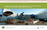 Impact of Trade Liberalization on Agriculture in the Near ...