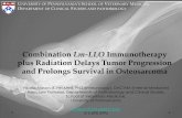 Combination Lm-LLO Immunotherapy plus Radiation Delays ...