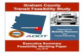 Graham County Transit Feasibility Study