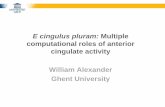 E cingulus pluram: Multiple computational roles of ...