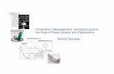 Protection, Management, and Optimization for Hydro-Power ...