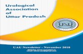 UAU Newsletter November 2018