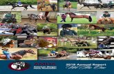2018 Annual Report We Are One - Morgan Horse