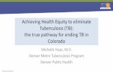 Achieving Health Equity to eliminate Tuberculosis (TB ...