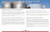 THE CRITICAL INFRASTRUCTURE PROTECTION IN FRANCE
