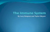 The Immune System - Mrs. Talley's Biology Bin