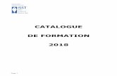 CATALOGUE DE FORMATION 2018 - Institut de santé et de ...