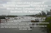 Identification of the Causes of Sediment-Associated ...