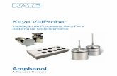 Kaye ValProbe® Wireless process validation and monitoring ...