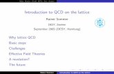 Introduction to QCD on the lattice