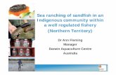 Sea ranching of sandfish in an Indigenous community within ...