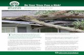 Hazard Tree Removal — Not so Fast! Do Your Trees Pose a …