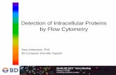 Detection of Intracellular Proteins by Flow Cytometry