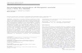 Environmental perspectives of Phragmites australis (Cav ...