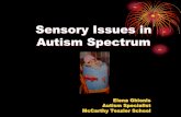 Sensory Issues in Autism Spectrum