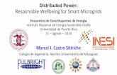Distributed Power: Responsible Wellbeing for Smart Microgrids