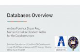 Databases Overview for the Databases team