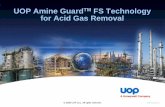 UOP Amine GuardTM FS Technology for Acid Gas Removal