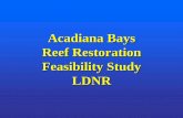 Acadiana Bays Reef Restoration Feasibility Study