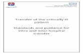 Transfer of the critically ill patient Standards and ...