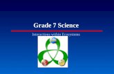 Grade 7 Science - inetTeacher.com