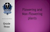 Flowering and Non-Flowering plants