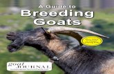 A Guide to Breeding Goats - Backyard Goats