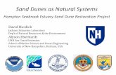 Sand Dunes as Natural Systems