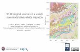 3D lithological structure in a steady state model drives ...