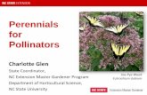 Perennials for Pollinators - Gardening