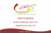 Informe Final Exposur 2013