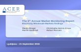 Electricity Wholesale Markets findings - Europa